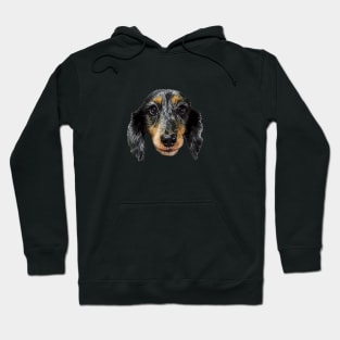 Dachshund Black Silver Dapple Puppy Dog Hoodie